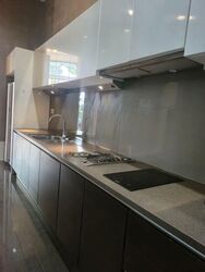 Belle Vue Residences (D9), Condominium #551315901
